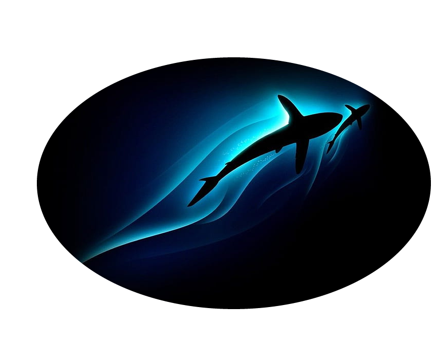Sharky